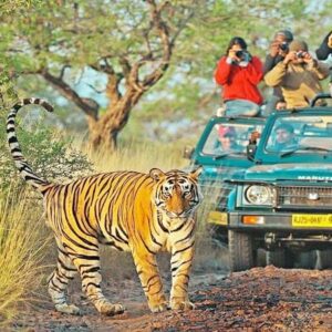 Jaipur to Ranthambore Tour Package With Marwari Cab
